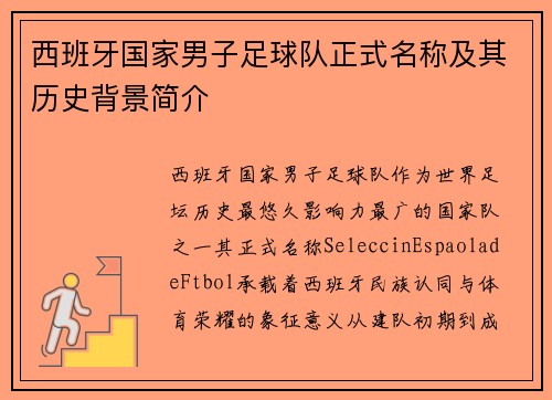 西班牙国家男子足球队正式名称及其历史背景简介