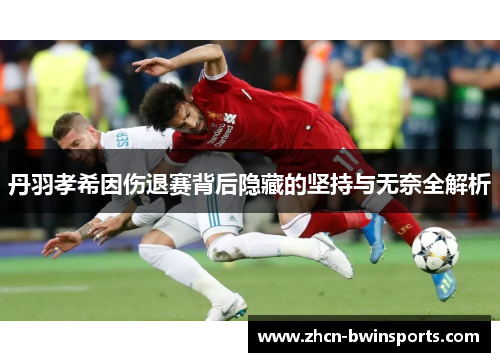 丹羽孝希因伤退赛背后隐藏的坚持与无奈全解析